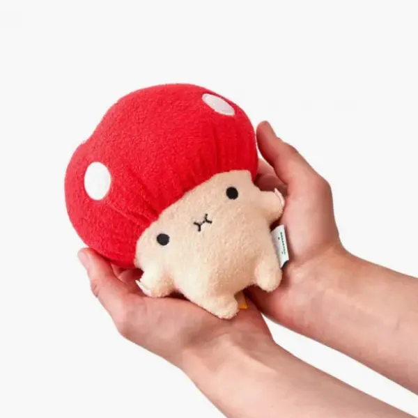 The Mushroom Collection